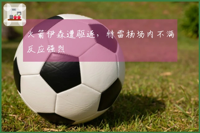 火箭伊森遭驱逐，特雷杨场内不满反应强烈