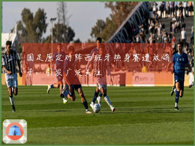 国足原定对阵西班牙热身赛遭放鸽子，引发广泛关注